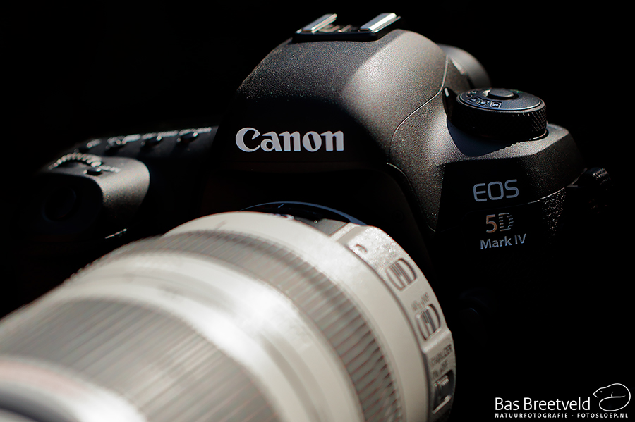 Review Canon 5D mark IV